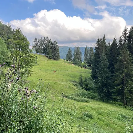 Apartamento Siebenschläferhütte Buchenberg (Bavaria)