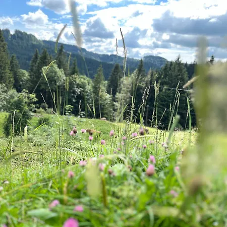 Apartamento Siebenschläferhütte *