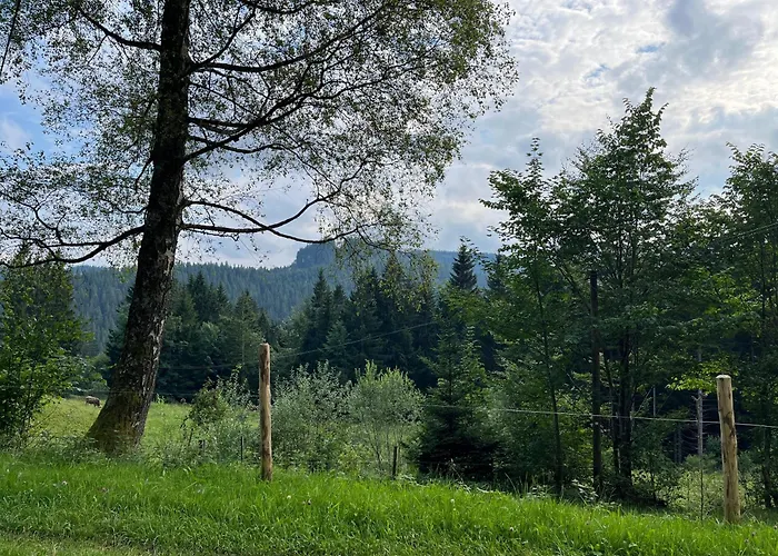 Lägenhet Siebenschlaeferhuette Buchenberg (Bavaria)