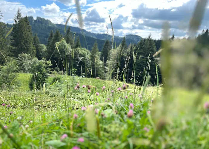 Lägenhet Siebenschlaeferhuette *