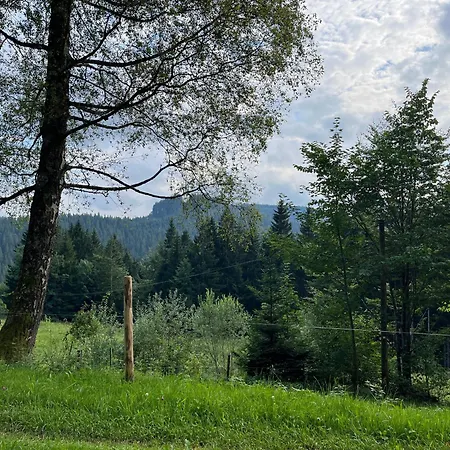 Apartamento Siebenschläferhütte Buchenberg (Bavaria)