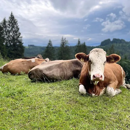 Siebenschlaeferhuette *