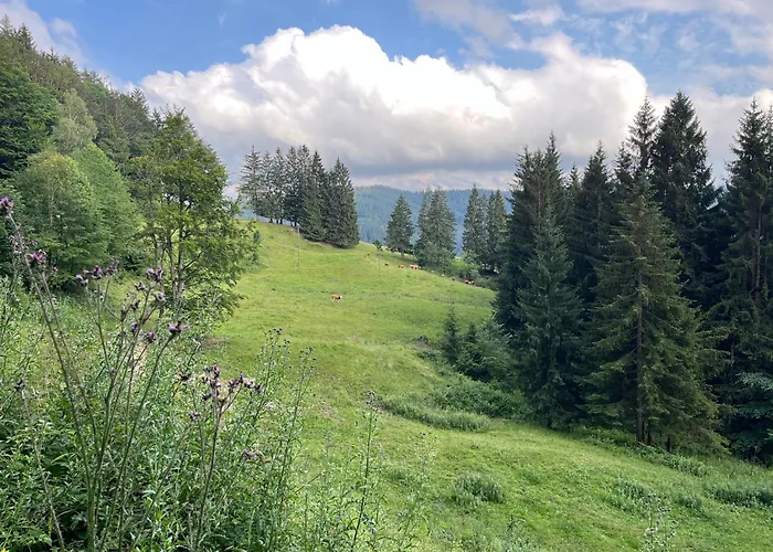 Διαμέρισμα Siebenschlaeferhuette Buchenberg (Bavaria)