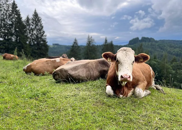 Siebenschlaeferhuette *